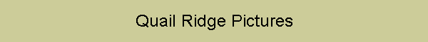 Quail Ridge Pictures